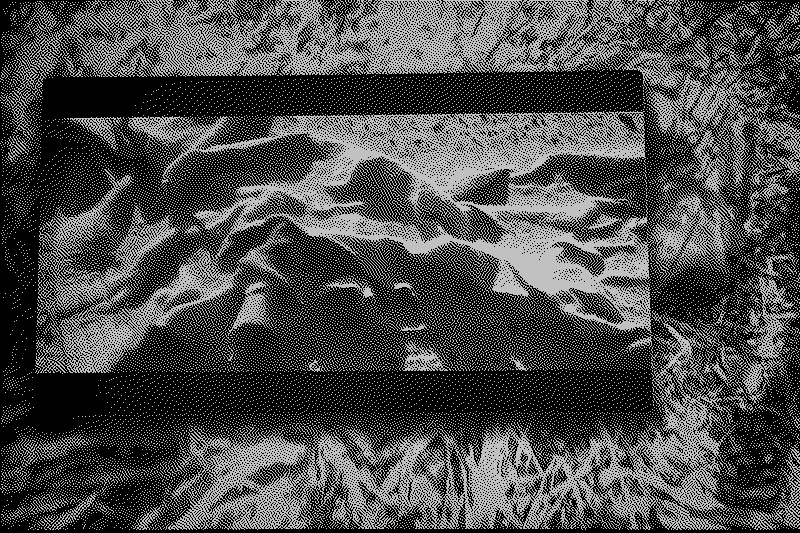 projection d'une vidéo conçues sur un écran d'ordinateur et composé de fenêtres web