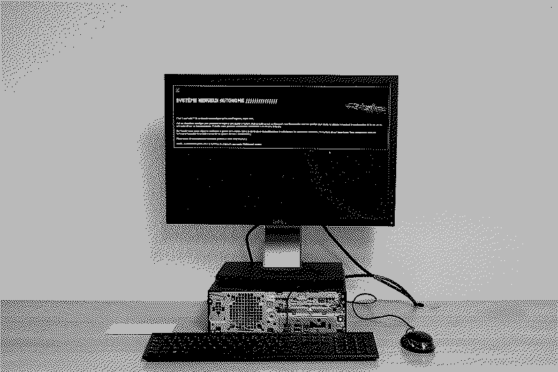 vue d'une ordinateur posé sur une table sur lequel tourne le jeu de Pony Gouttegata