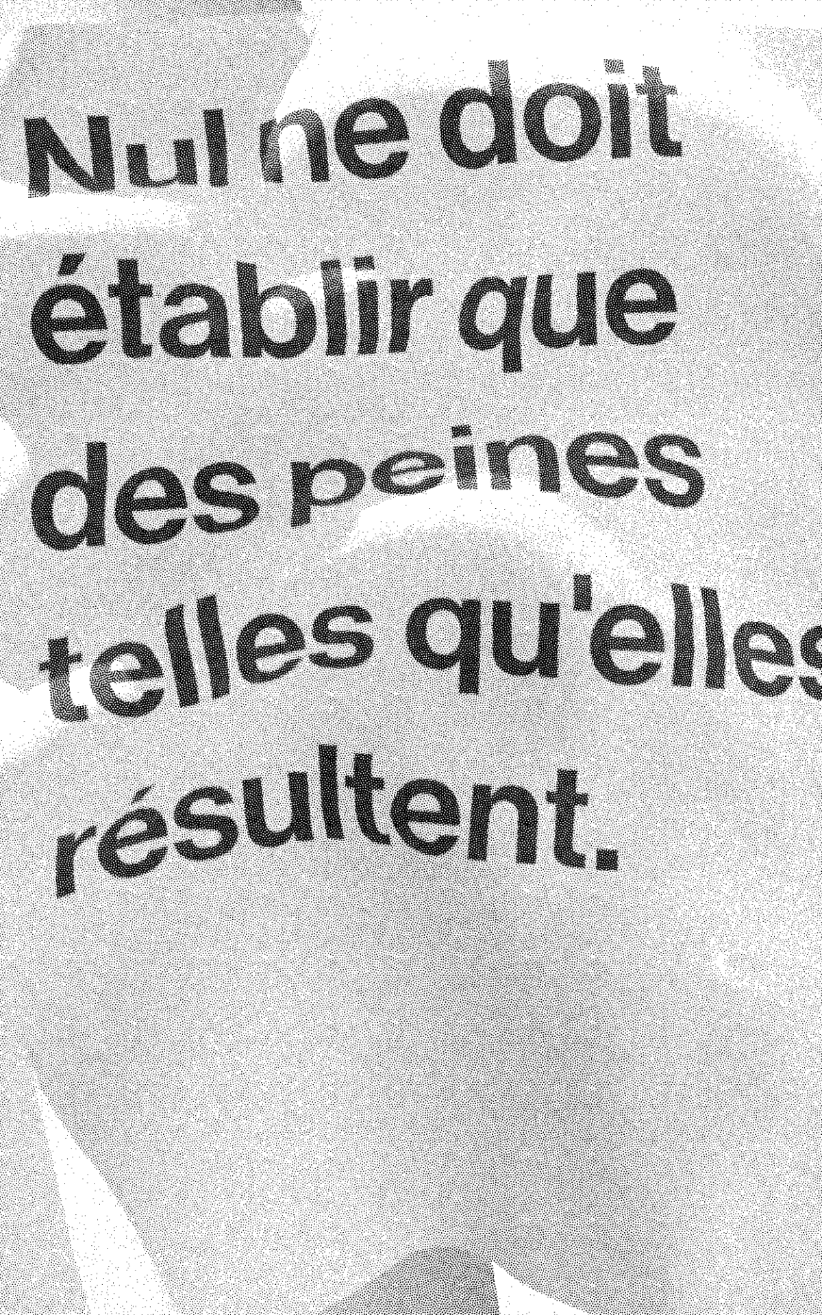 drapeau tramé noir et blanc qui flotte au vent où il est écrit : nul ne doit établir que des peines telles qu'elles résultent.