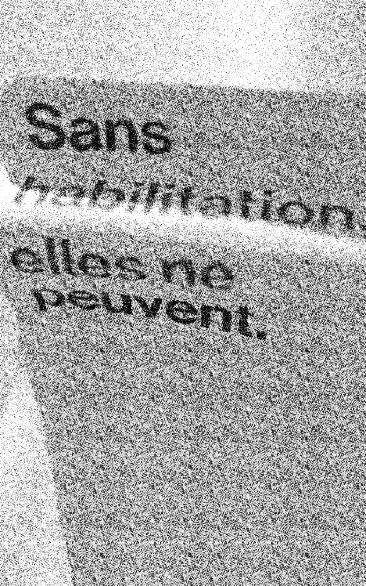 drapeau tramé noir et blanc qui flotte au vent où il est écrit : sans habilitation elles ne peuvent.